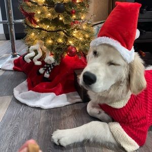 Meet your Posher, Wanda